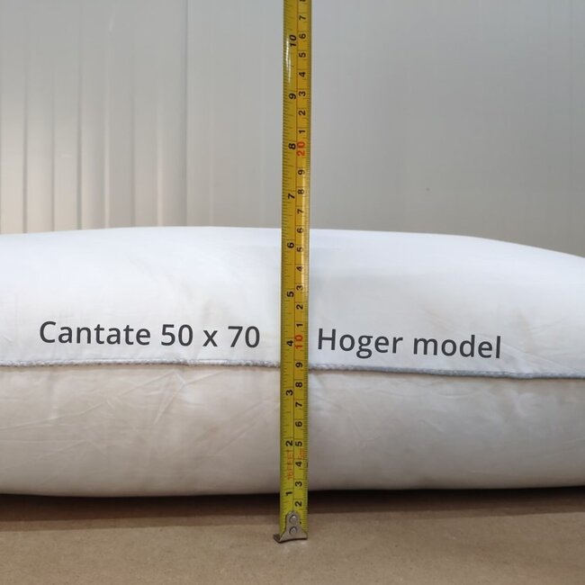 Zijden hoofdkussen Aura - 100% moerbeizijde & Katoenen Tijk